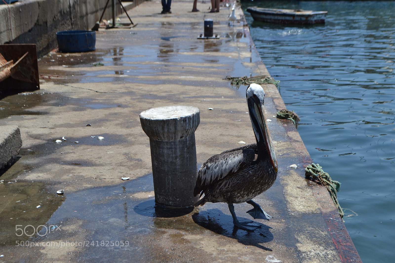 Nikon D3100 sample photo. Untitled photography