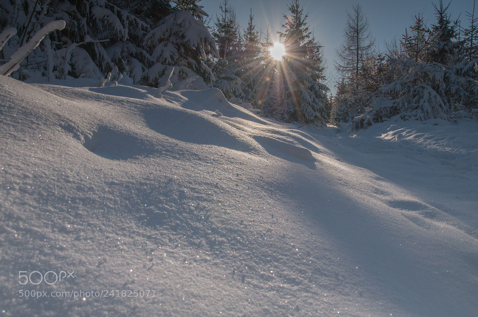 Nikon D90 sample photo. Deep snow photography