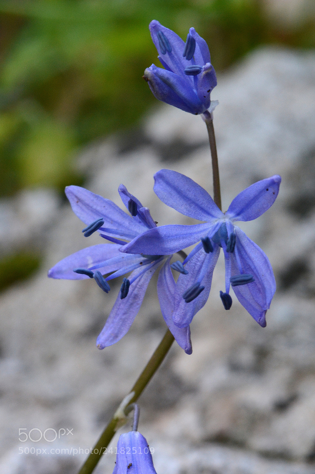 Nikon D7100 sample photo. Untitled photography