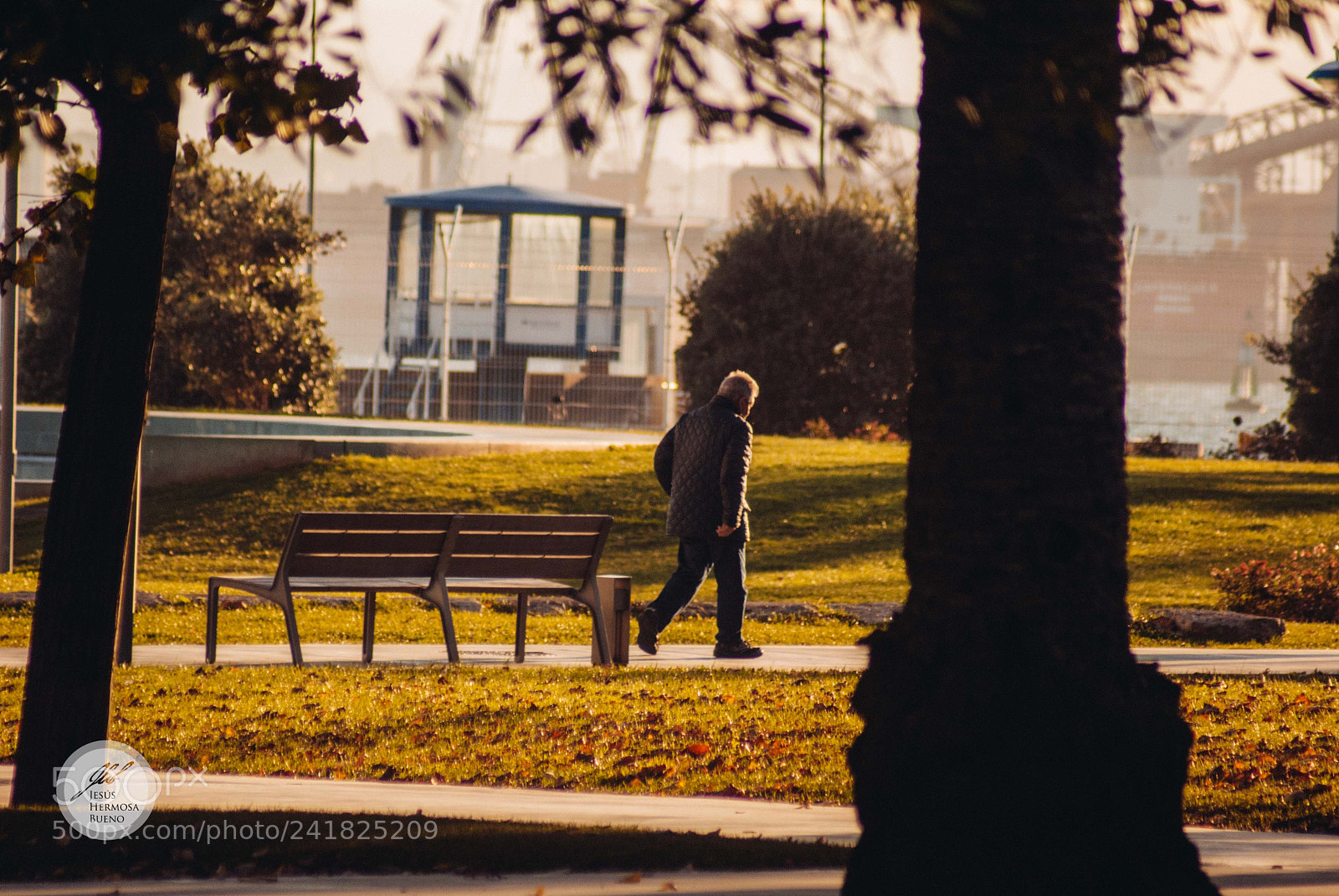 Sony Alpha DSLR-A200 sample photo. Untitled photography