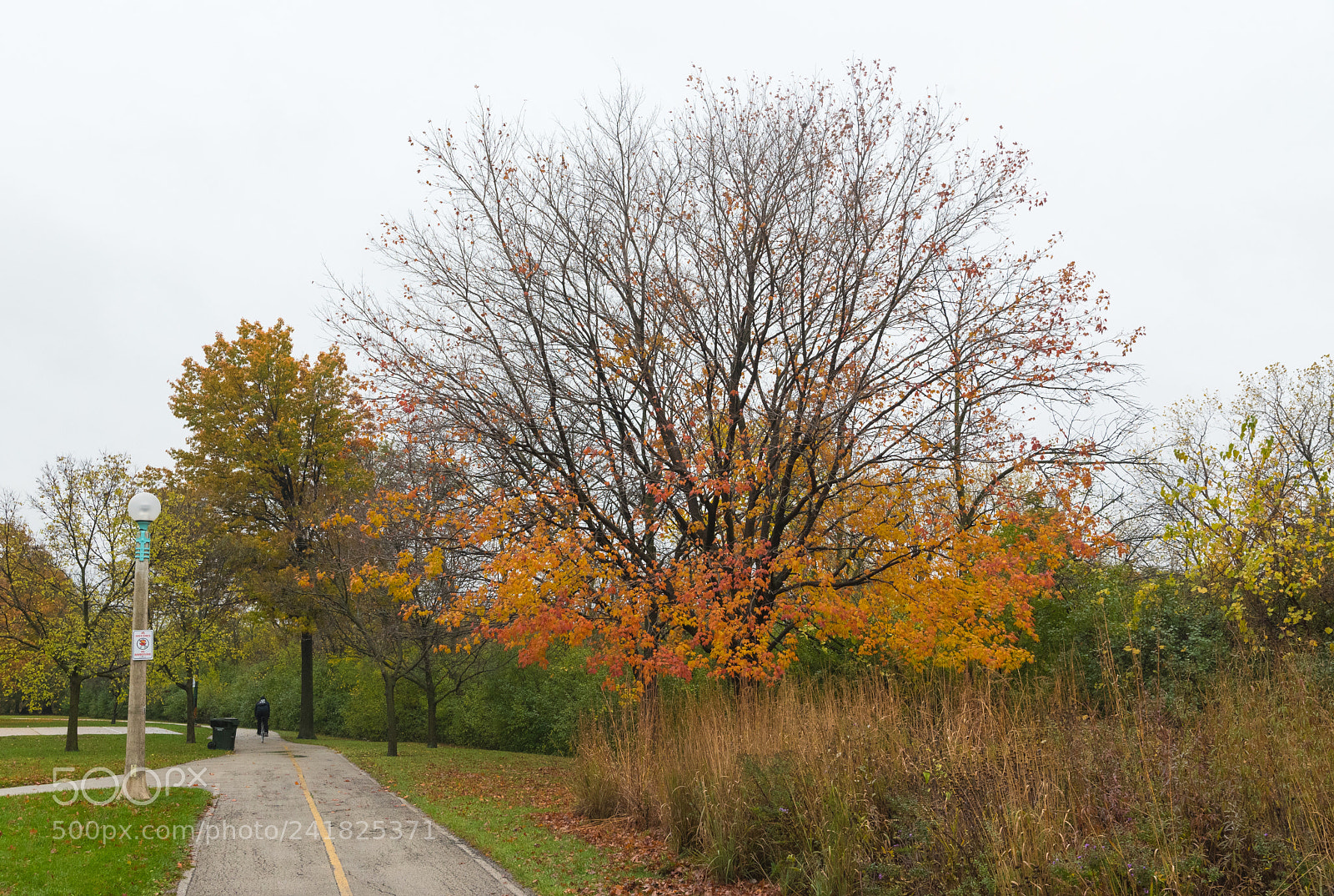 Nikon D750 sample photo. Bicycle trail in the photography