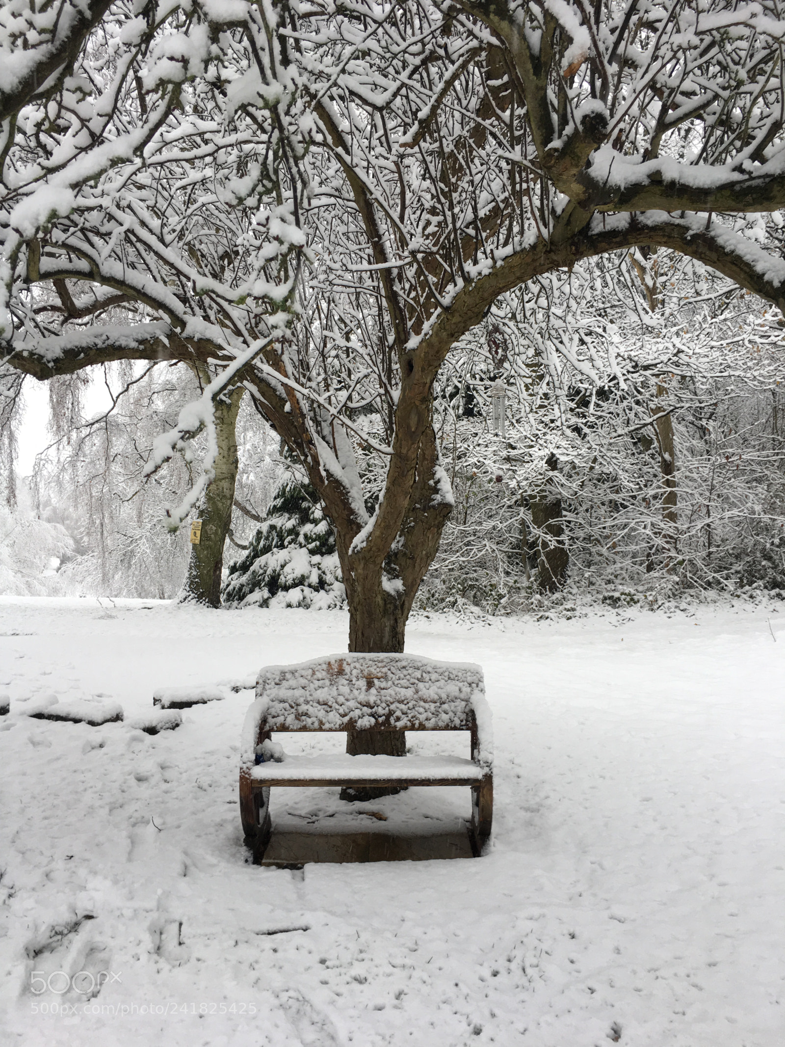 Apple iPhone 6s sample photo. []winter wonderland<3 photography