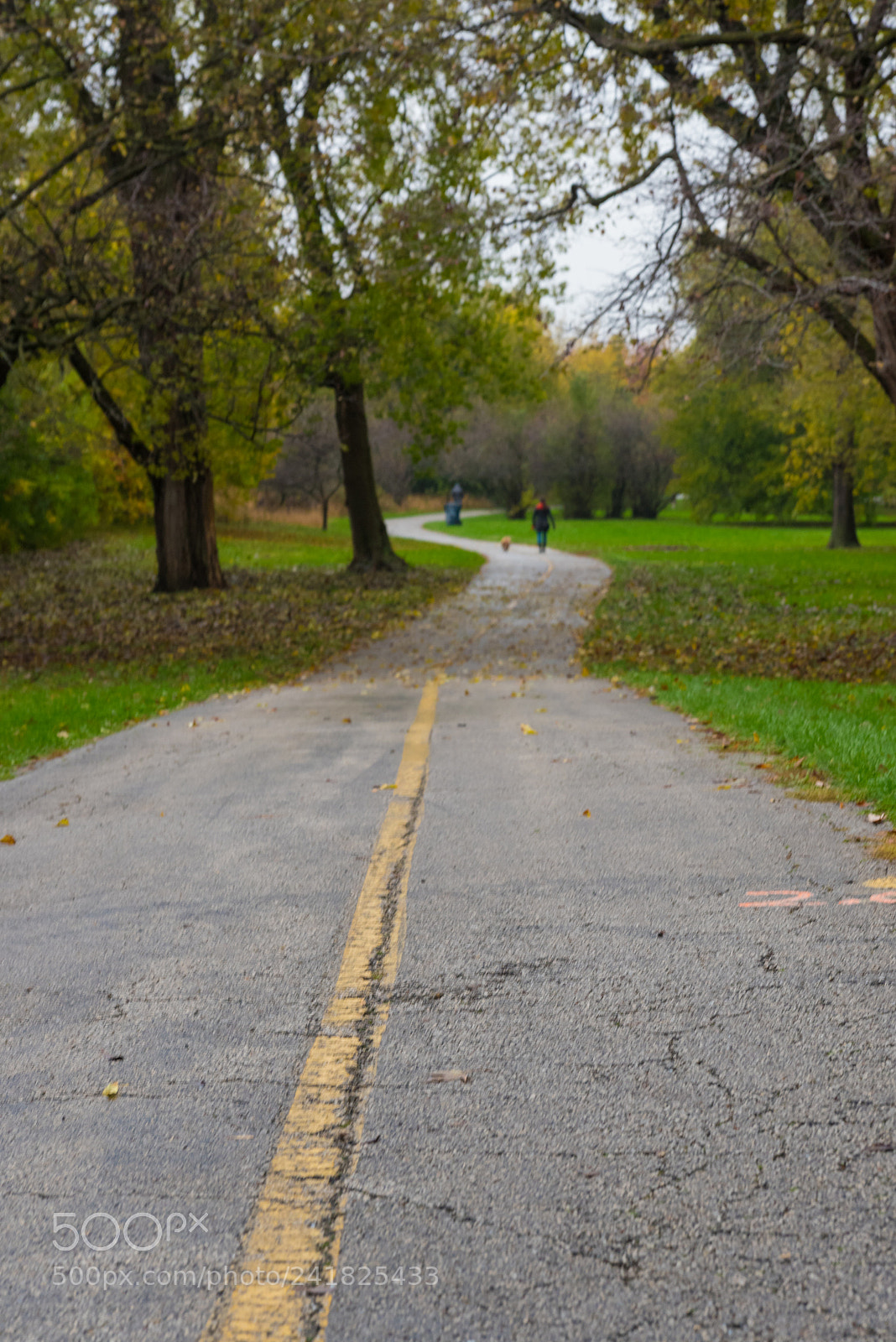 Nikon D750 sample photo. Bicycle trail in the photography