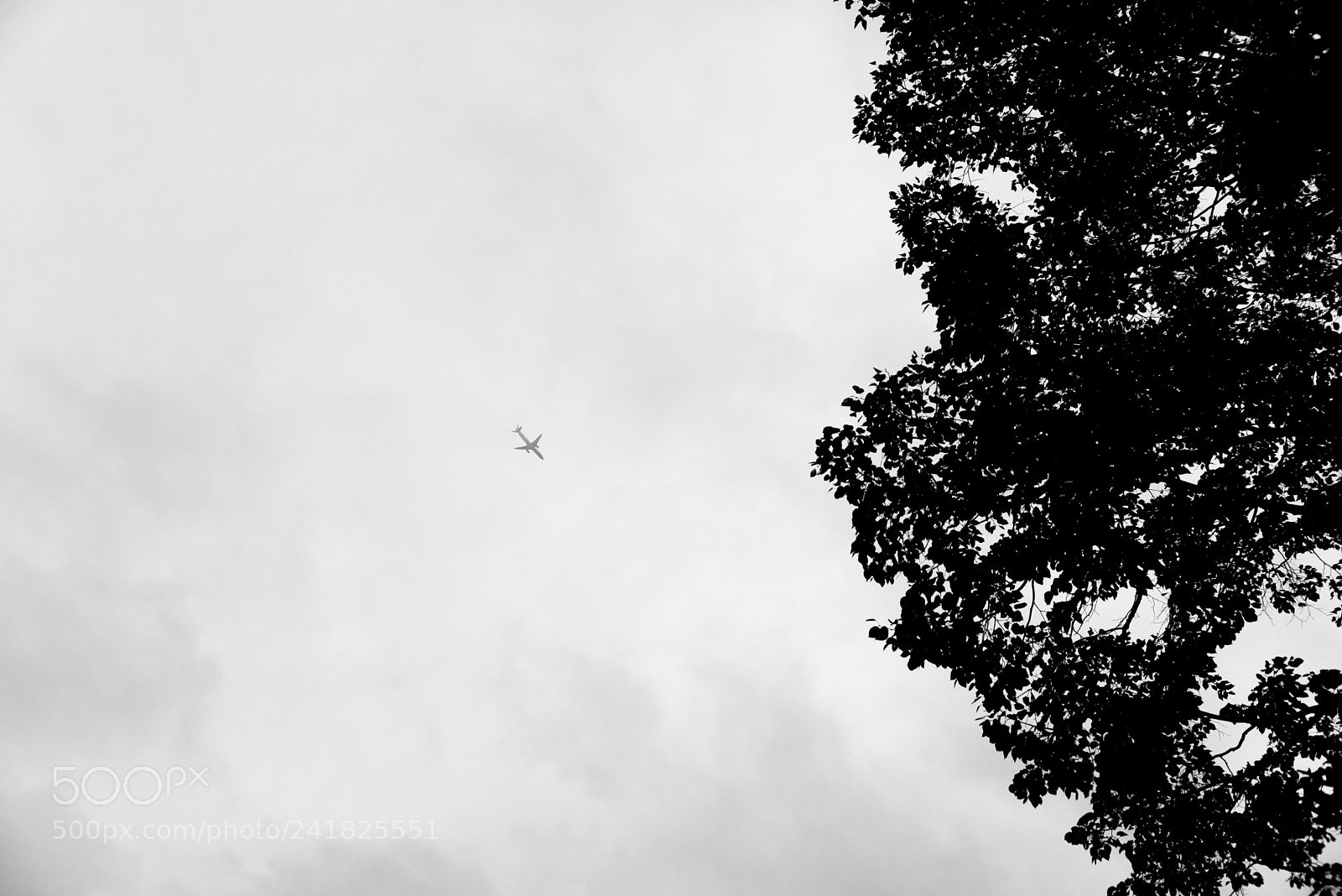 Nikon D750 sample photo. Big airplane above the photography