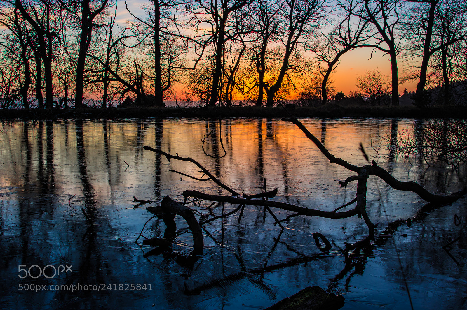 Pentax K-3 sample photo. Duck pond photography