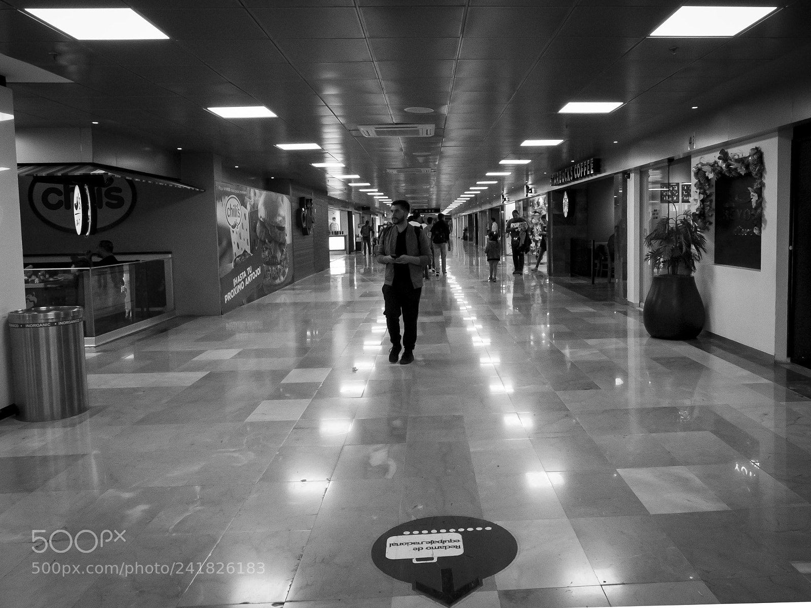 Fujifilm X20 sample photo. Lineas photography