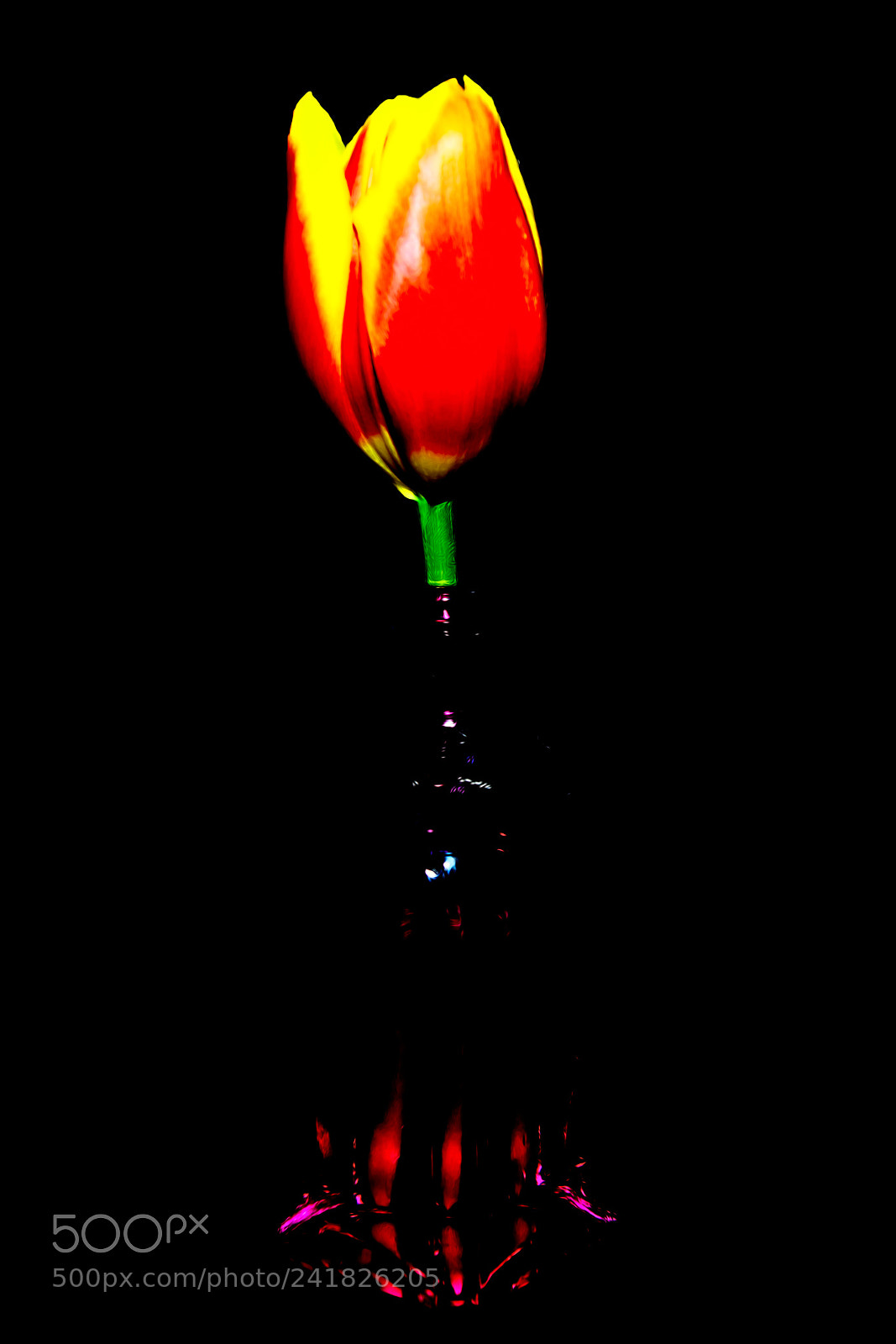 Nikon D7100 sample photo. Beautiful flower.   photography