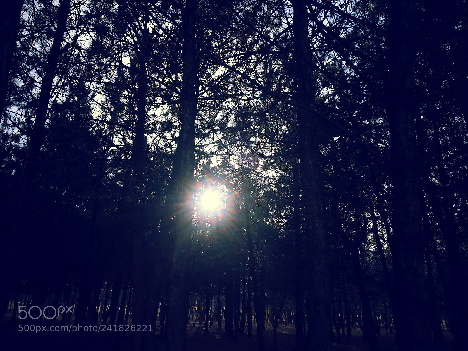 Samsung Galaxy Note2 sample photo. Untitled photography