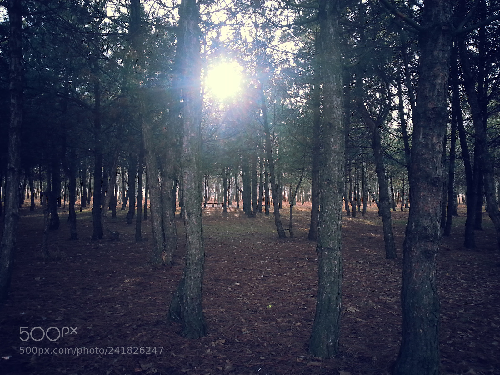 Samsung Galaxy Note2 sample photo. Untitled photography