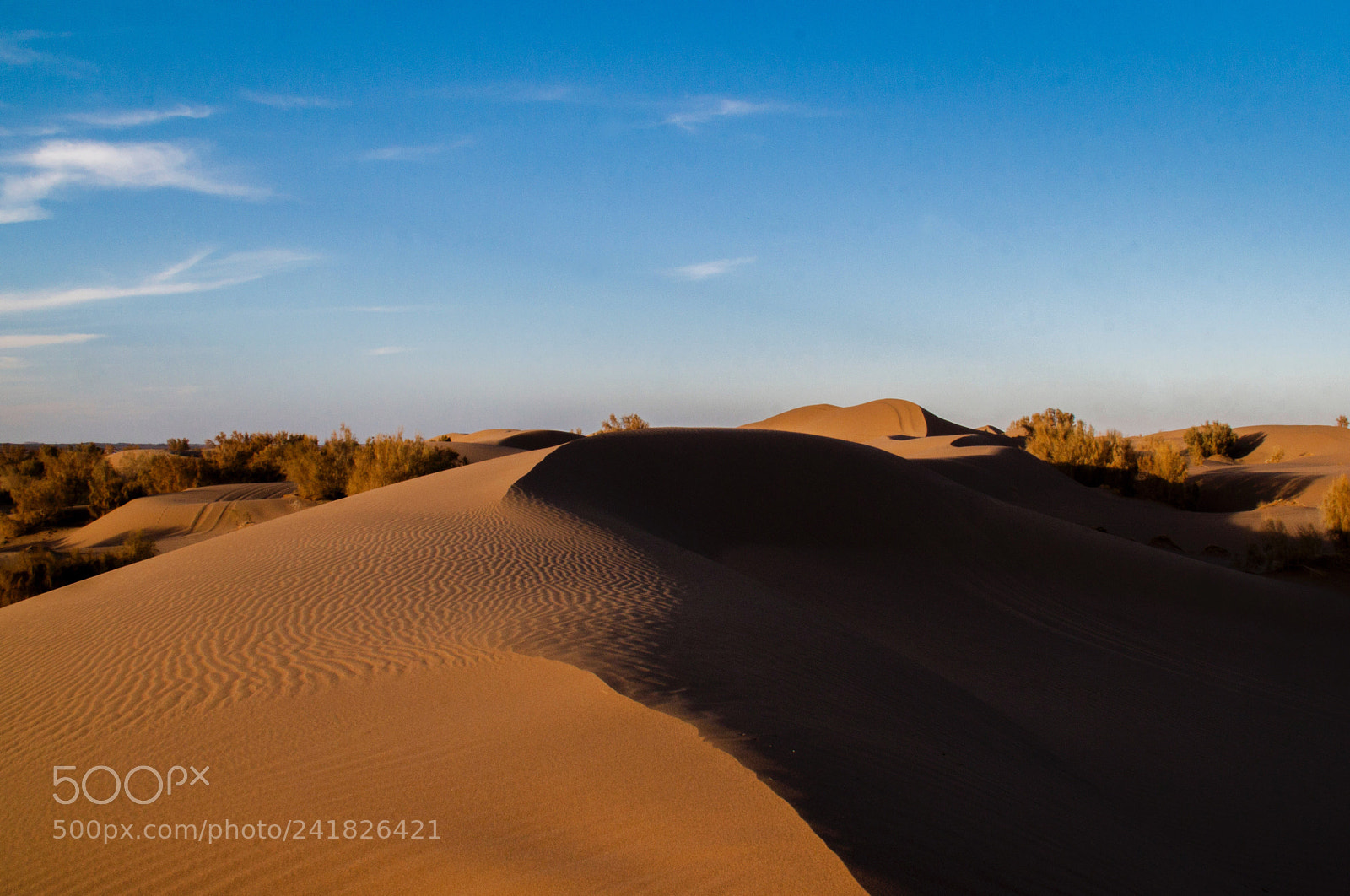 Canon EOS 500D (EOS Rebel T1i / EOS Kiss X3) sample photo. Mesr desert at sun photography