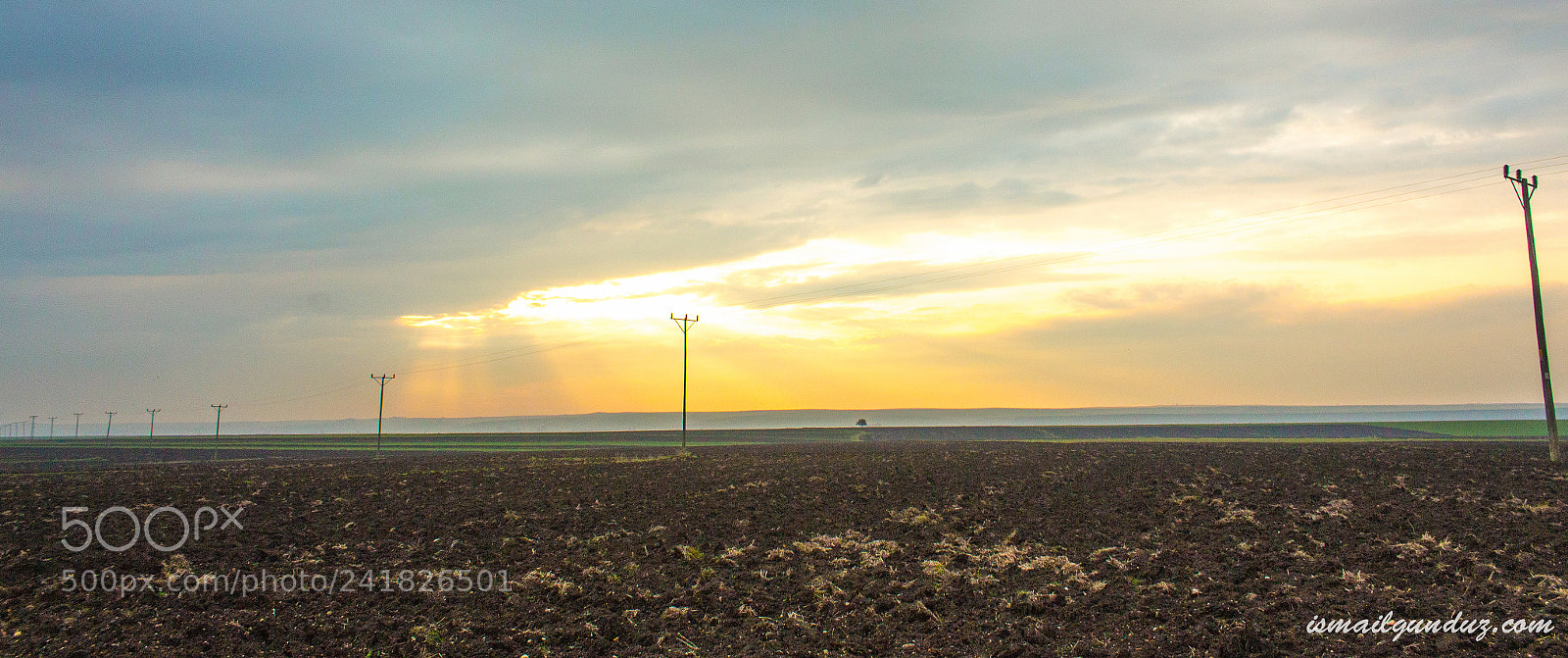 Canon EOS 650D (EOS Rebel T4i / EOS Kiss X6i) sample photo. Harmony of dambaslar photography