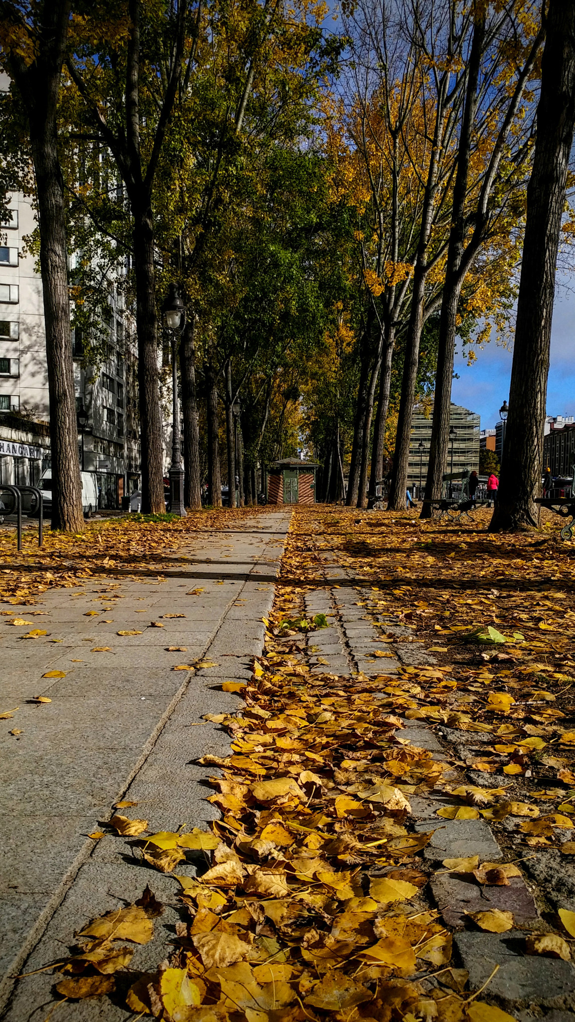 LG G5 SE sample photo. The path from fall photography