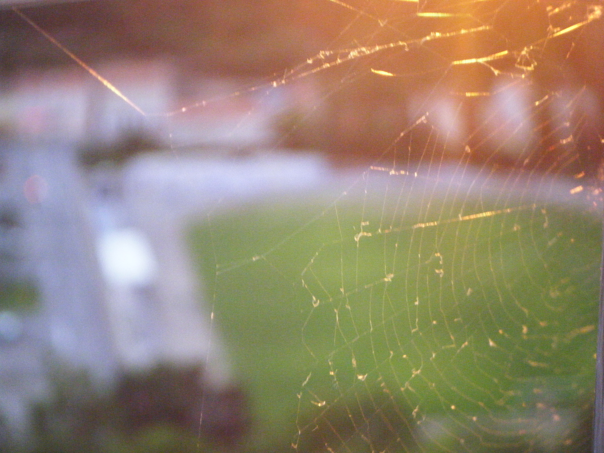 Fujifilm FinePix Z20fd sample photo. Cobweb above the town photography