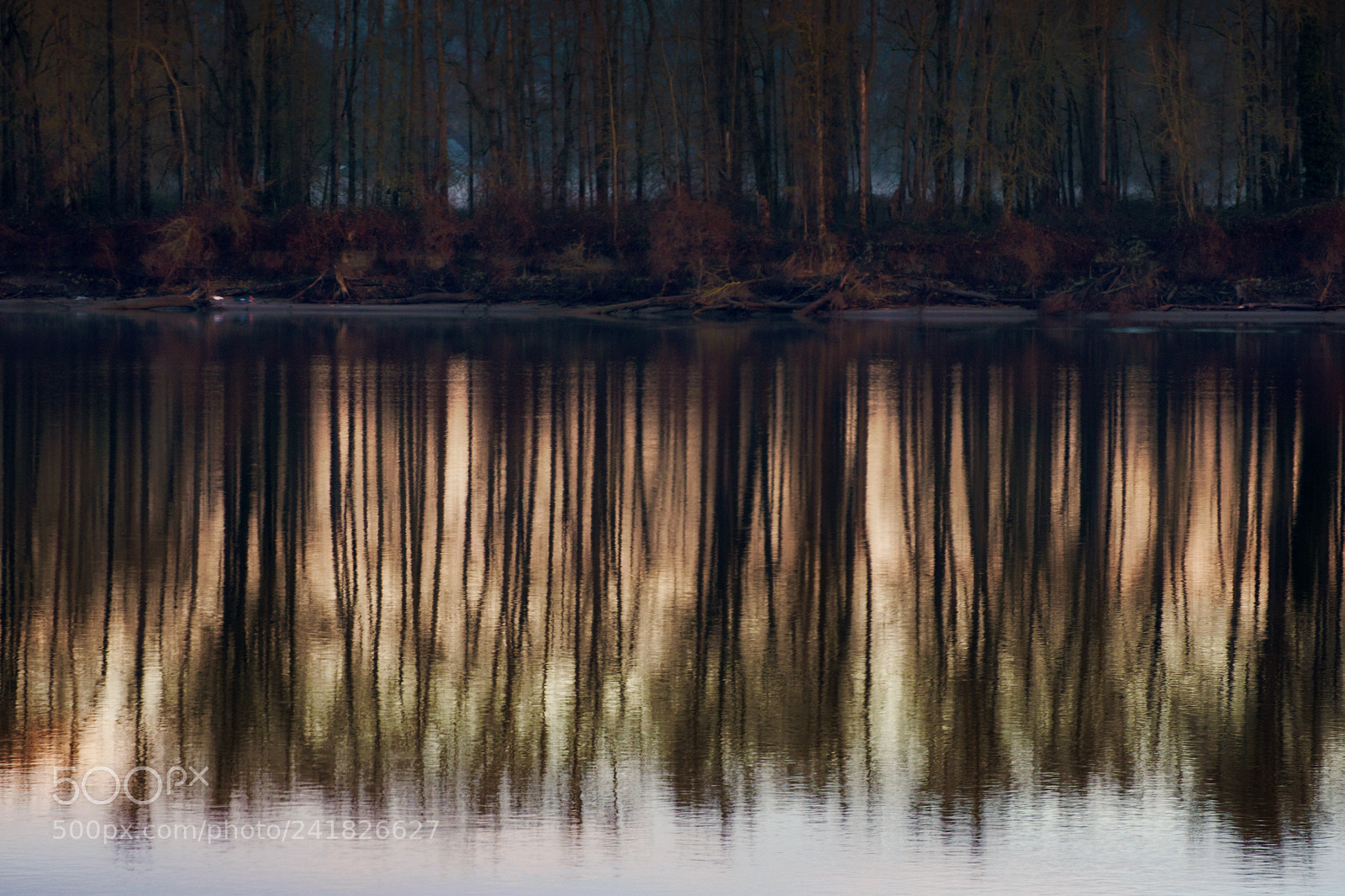 Nikon D7200 sample photo. Calm waters 2 photography