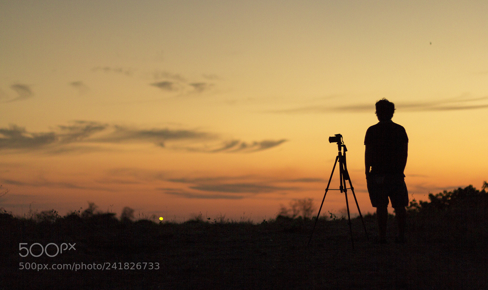 Canon EOS 60D sample photo. Photographer photography