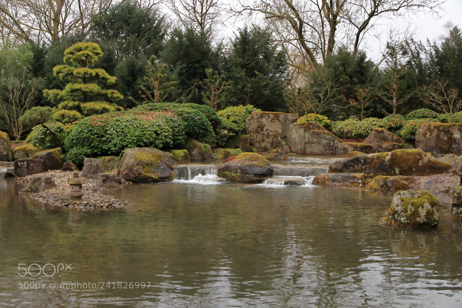Canon EOS 77D (EOS 9000D / EOS 770D) sample photo. Der botanische garten im photography