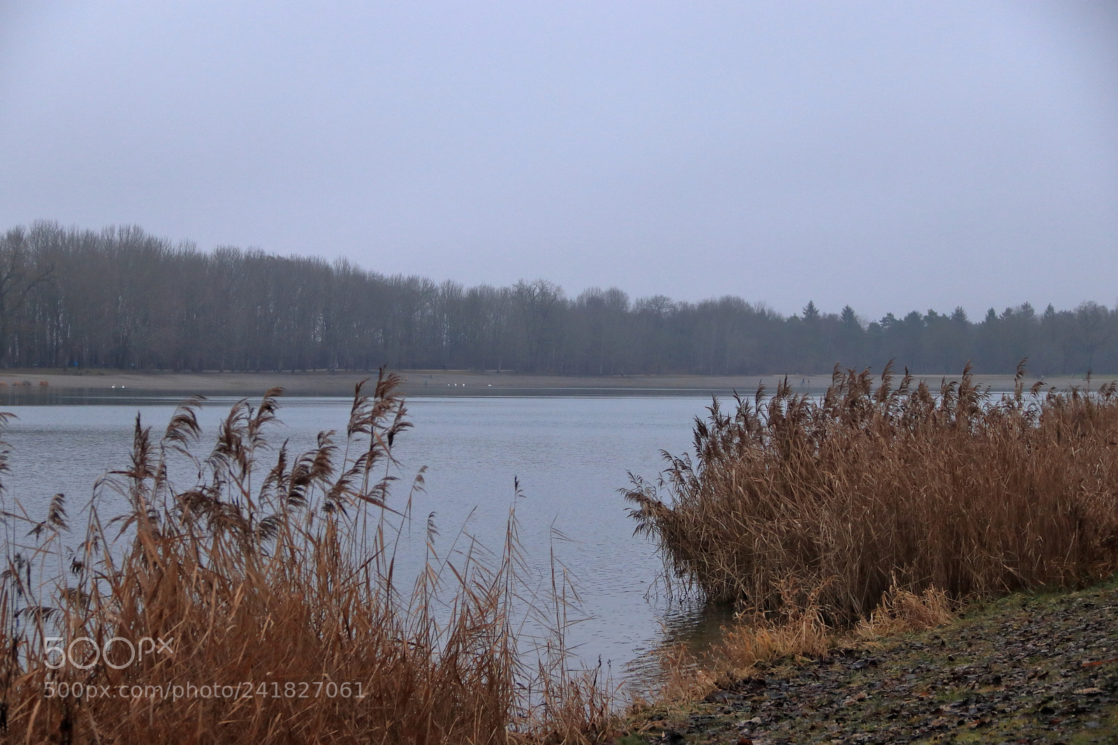 Canon EOS 77D (EOS 9000D / EOS 770D) sample photo. Der kuhsee im januar photography