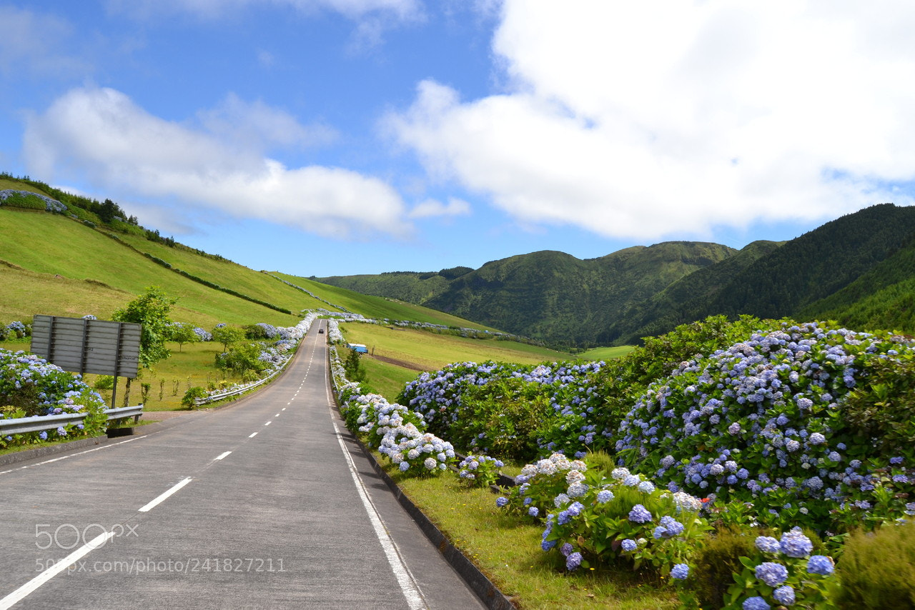 Nikon D3100 sample photo. Açores photography