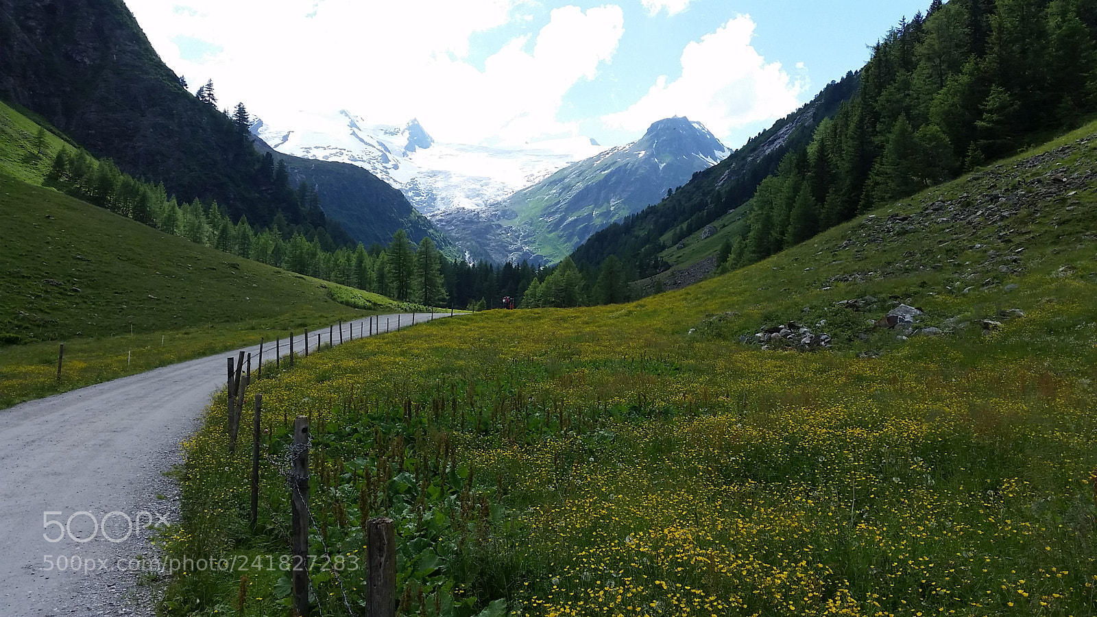 Samsung Galaxy S5 sample photo. 20160701_161310.jpg photography