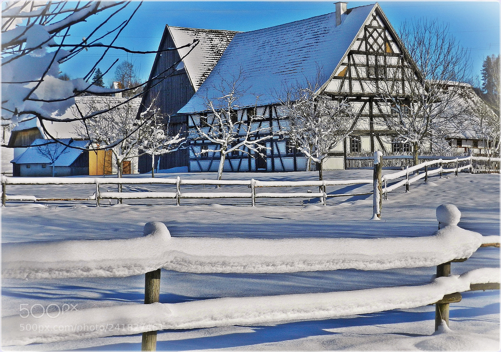 Nikon Coolpix P500 sample photo. Peaceful winterday photography