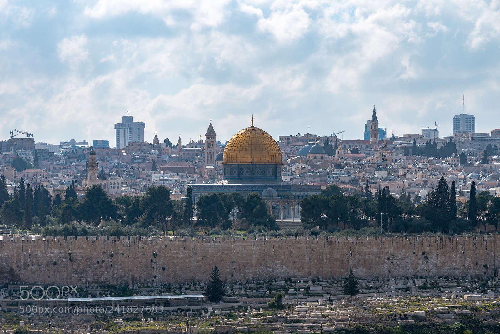 Nikon D800 sample photo. Golden dome photography