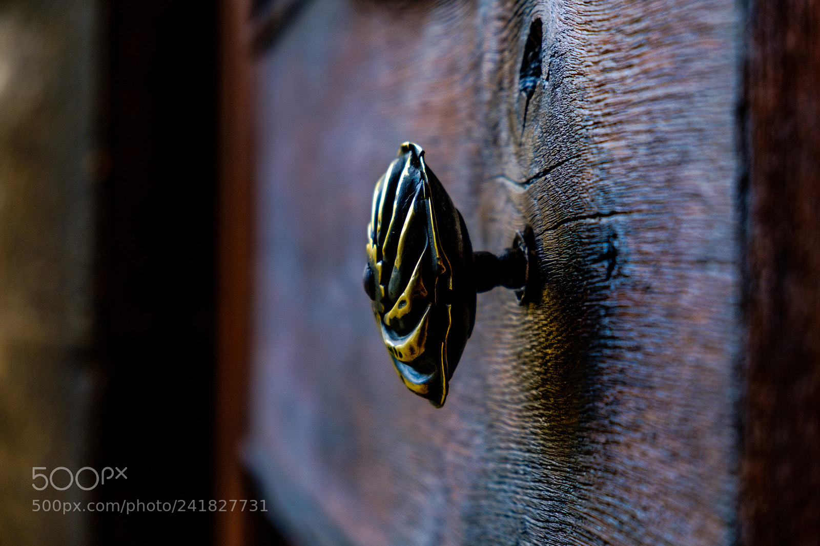 Fujifilm X-T2 sample photo. Hold the door photography