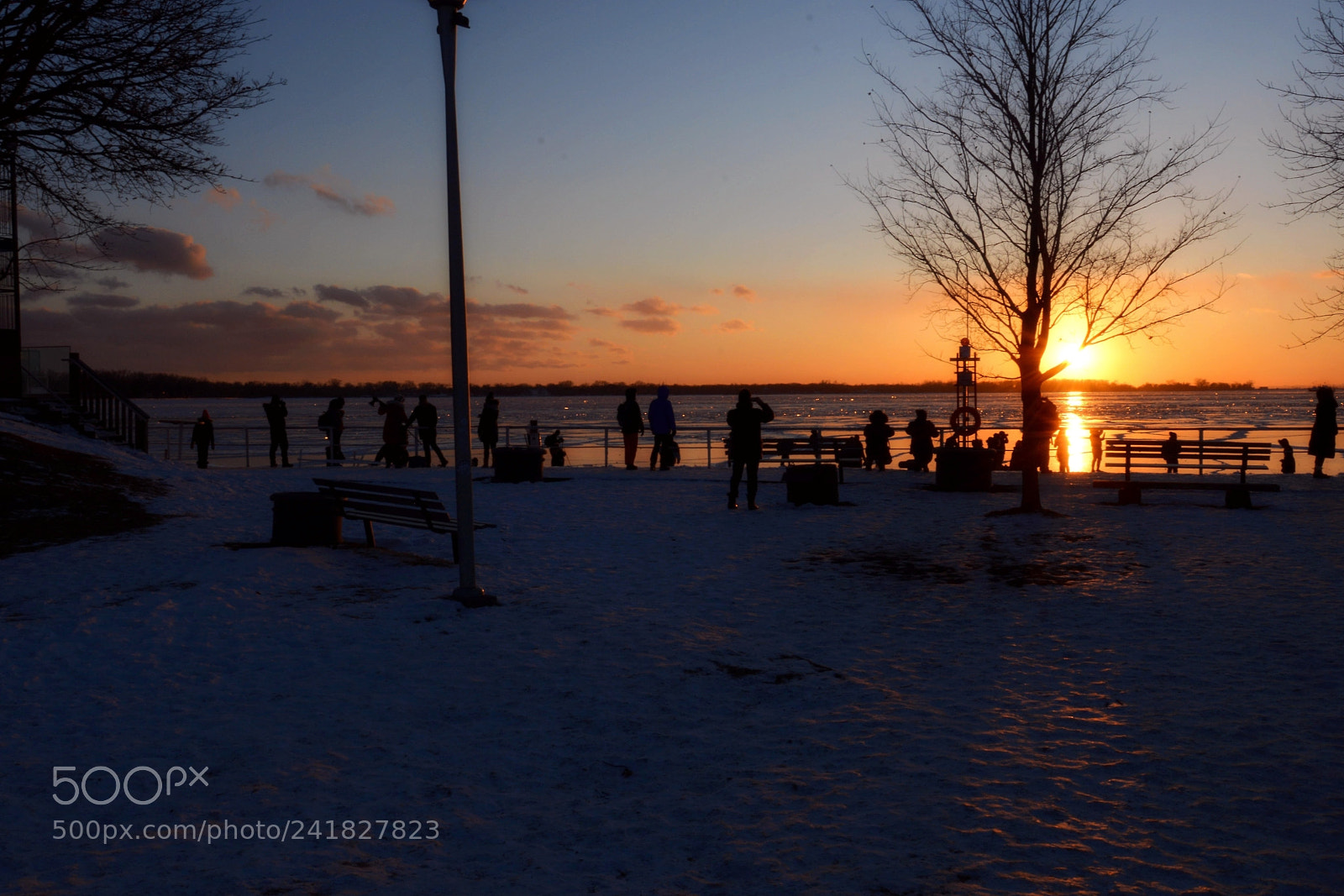 Nikon D7100 sample photo. Photographers gather aorund photography