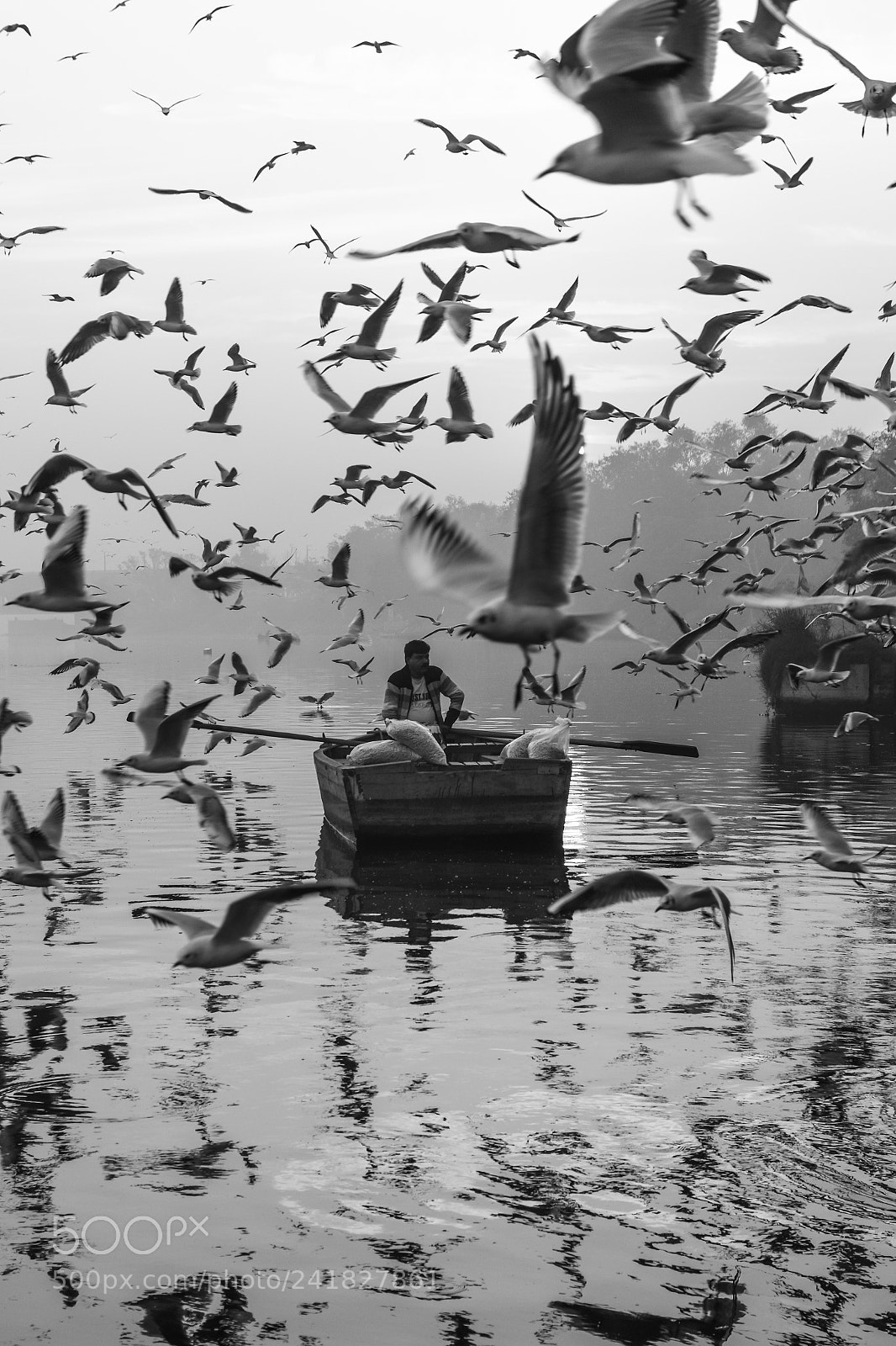Nikon D5500 sample photo. Boatman with his companions!! photography