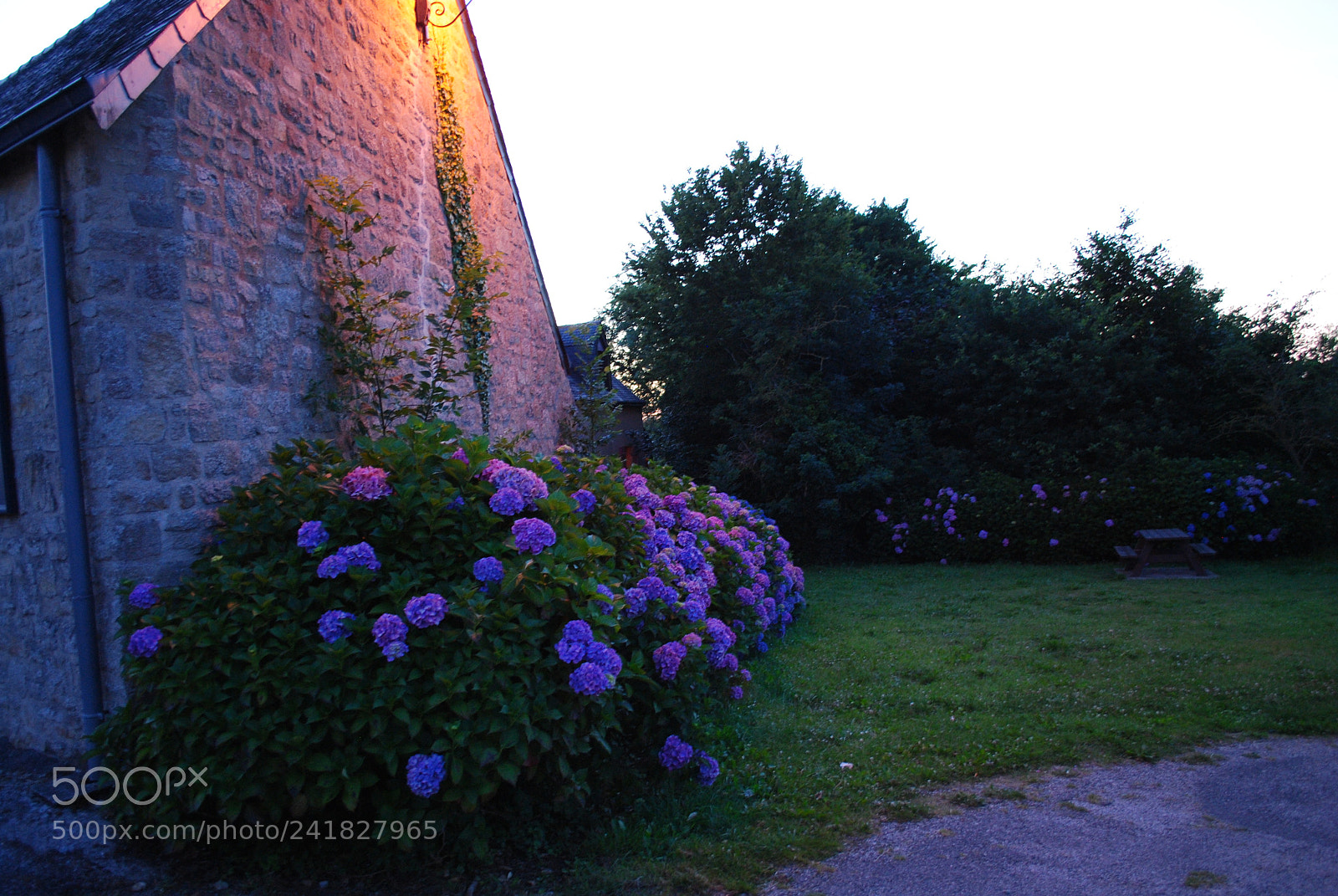 Nikon D3000 sample photo. En bretagne photography