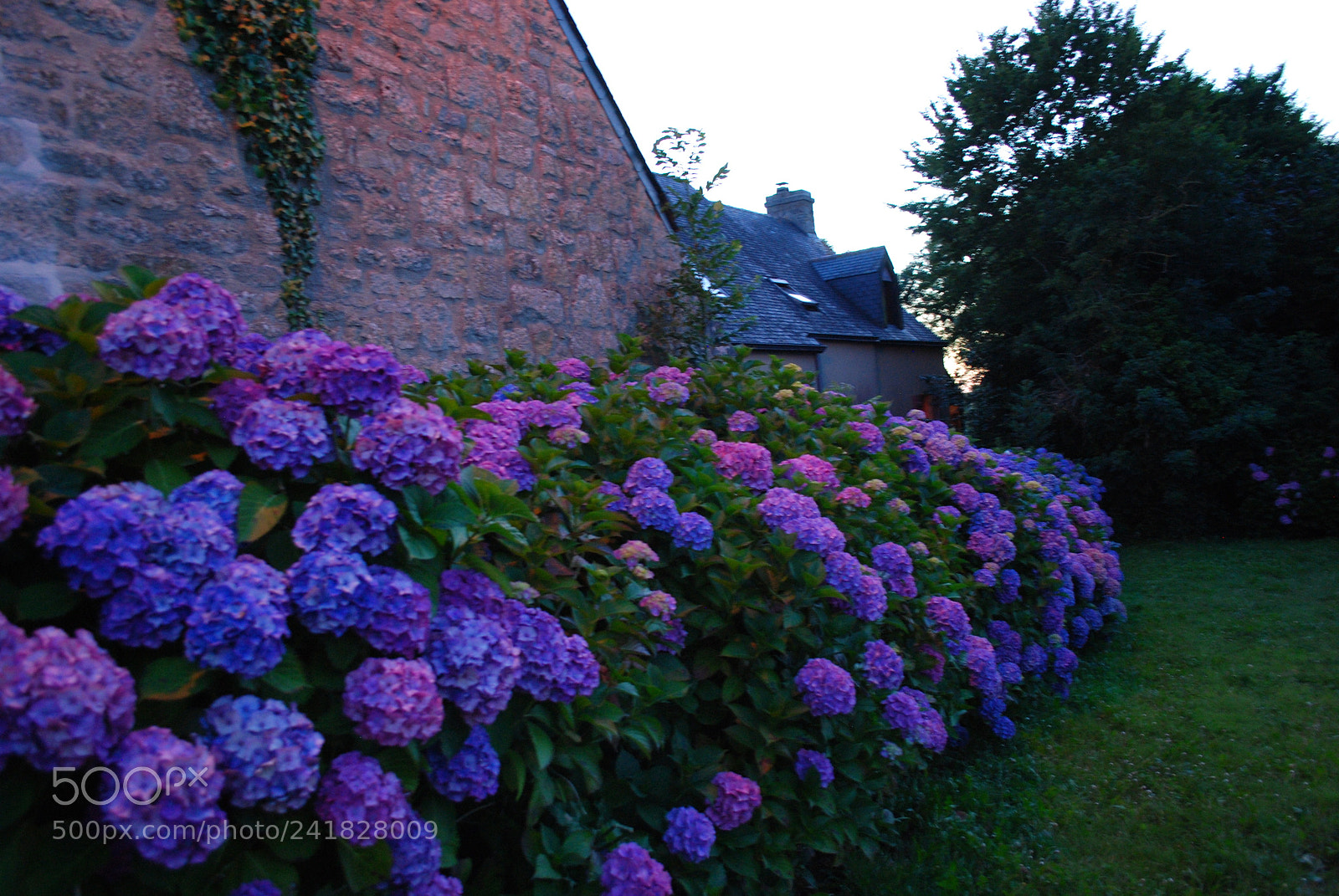 Nikon D3000 sample photo. La bretagne photography