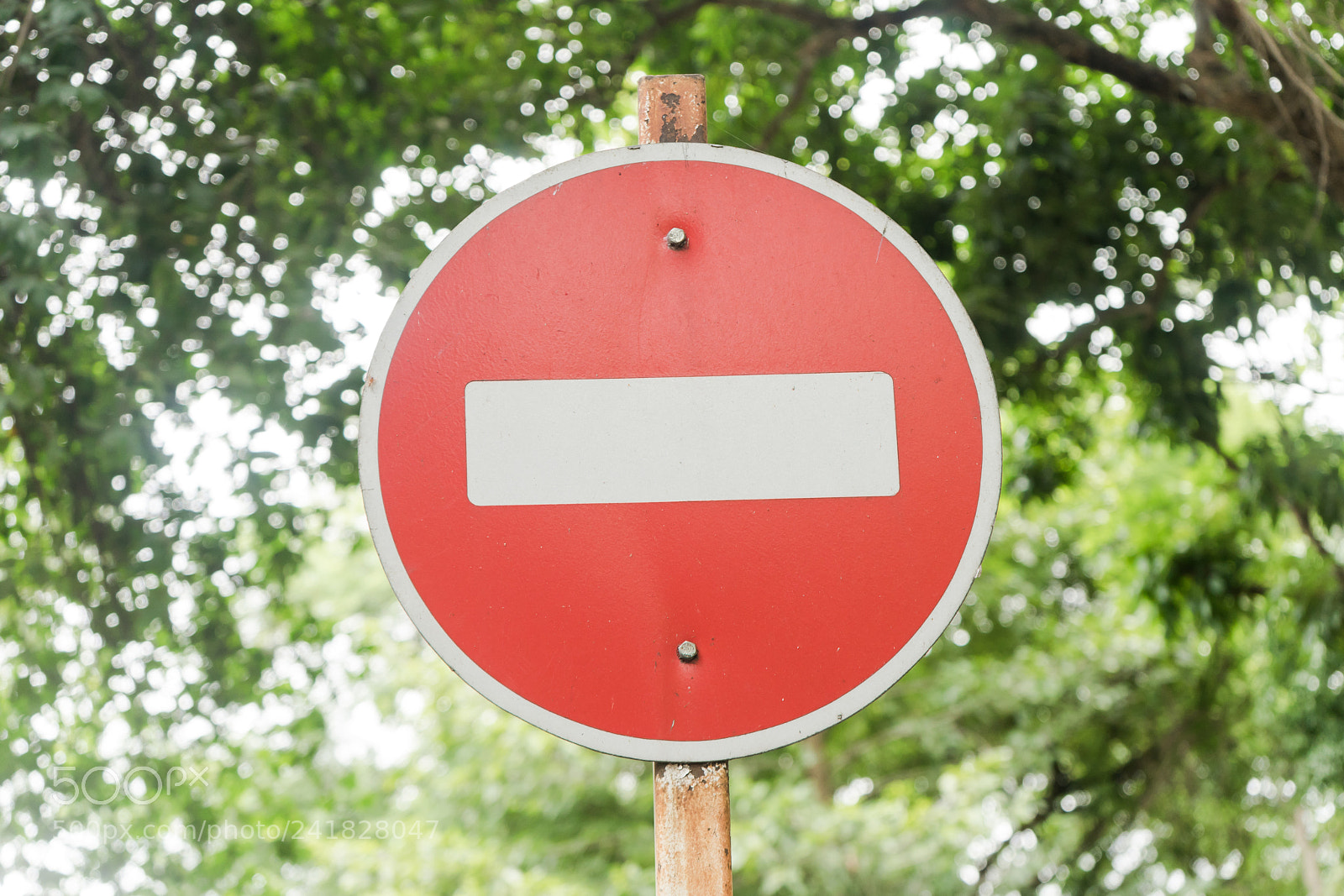 Sony a7 sample photo. Road sign prohibiting photography