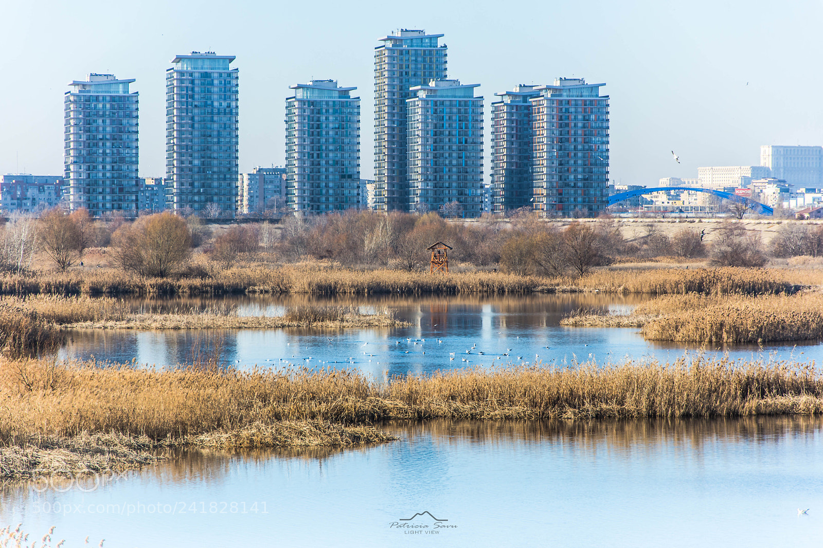 Nikon D7200 sample photo. Nature smile! photography