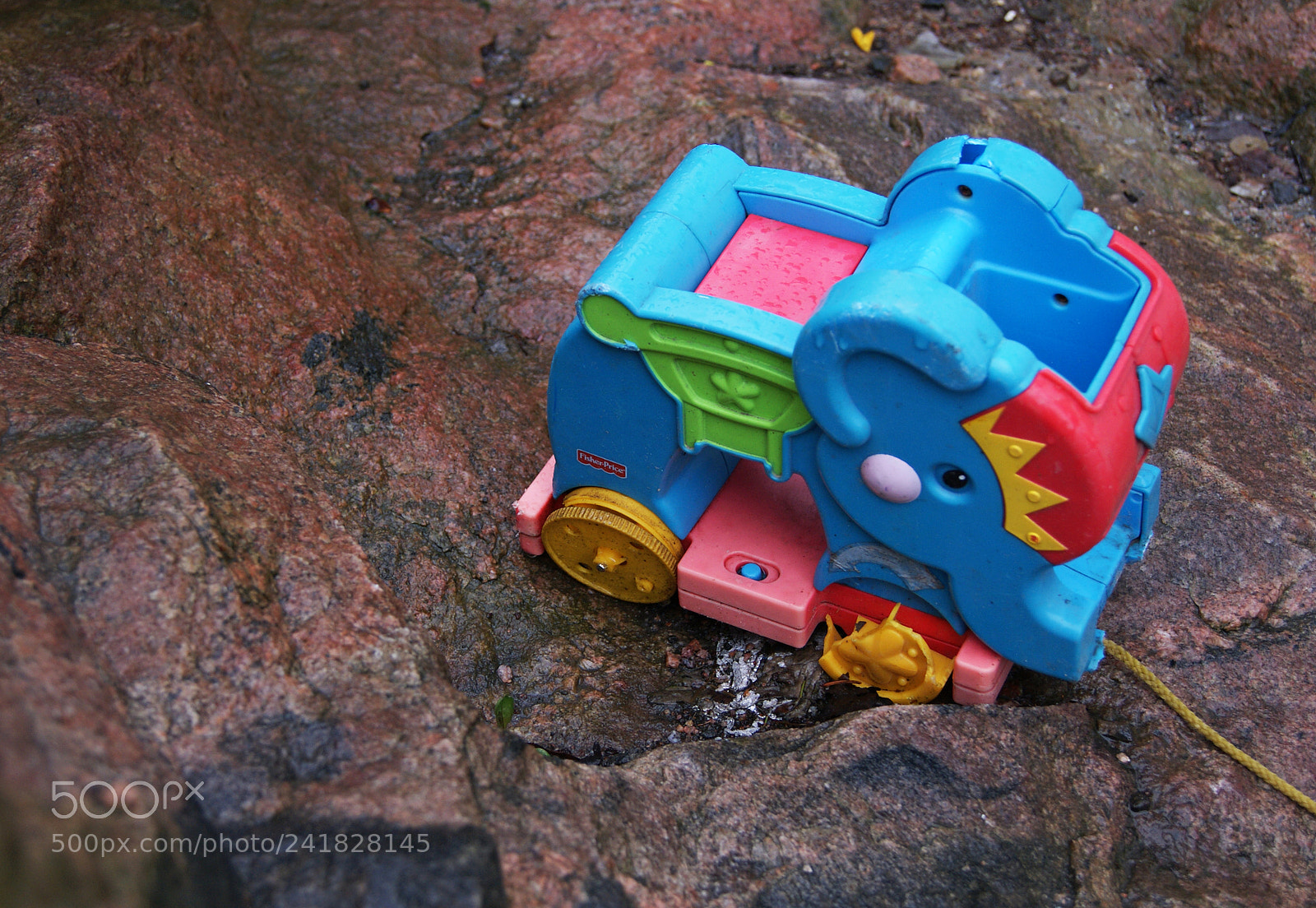 Sony Alpha DSLR-A230 sample photo. I miss you photography