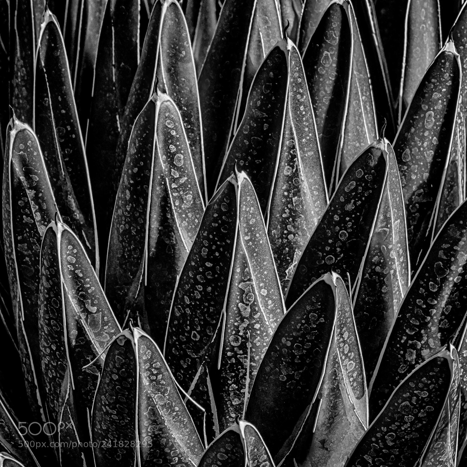 Nikon D7200 sample photo. Structures photography