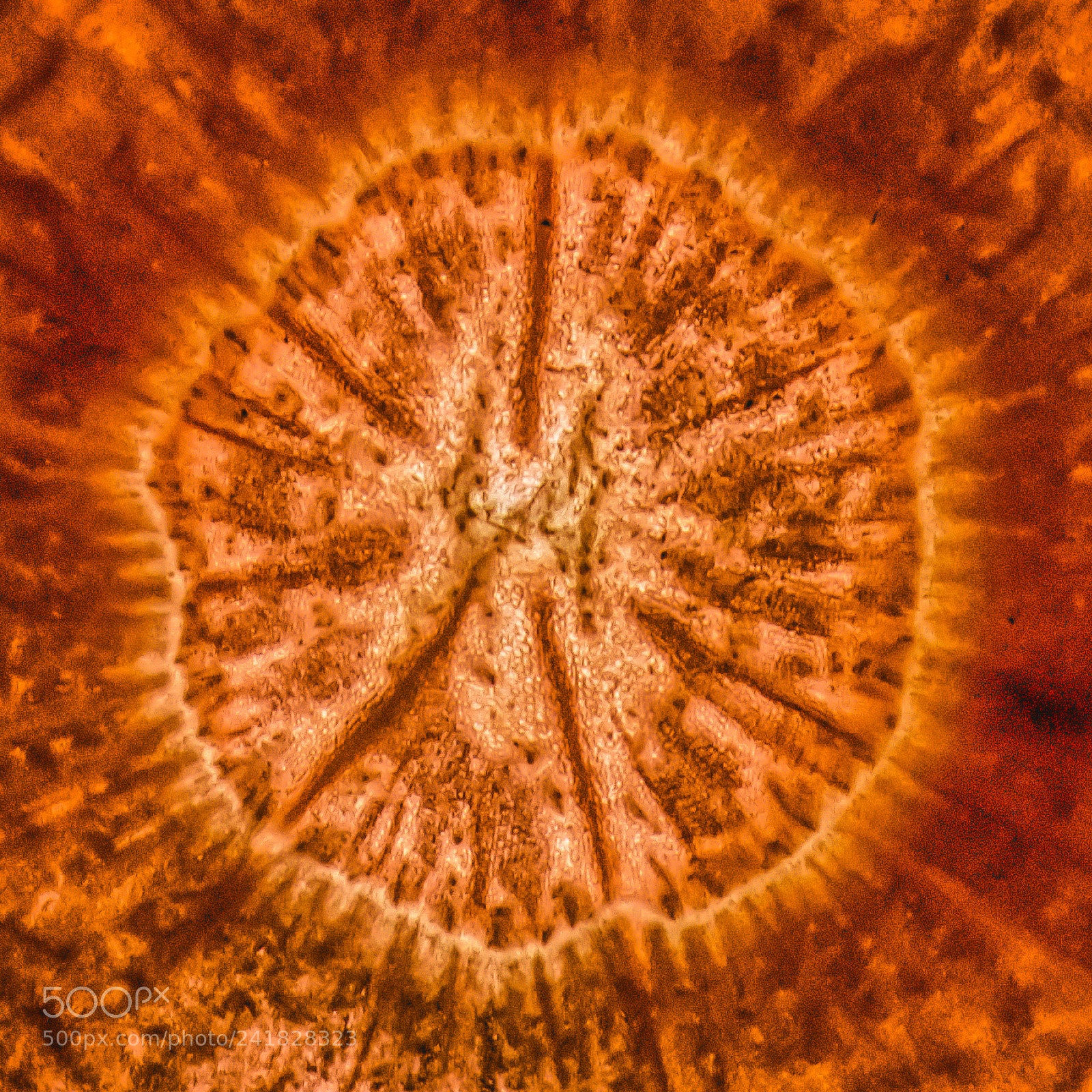 Nikon D7200 sample photo. Structures photography