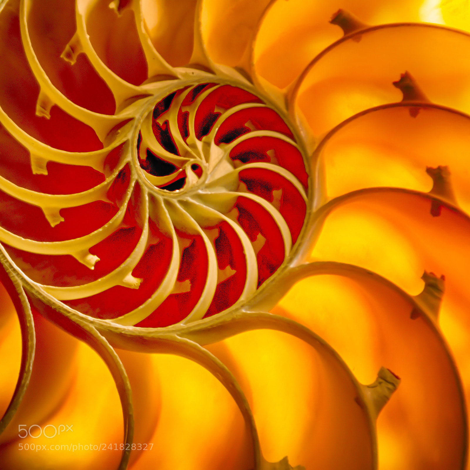 Nikon D7200 sample photo. Structures photography
