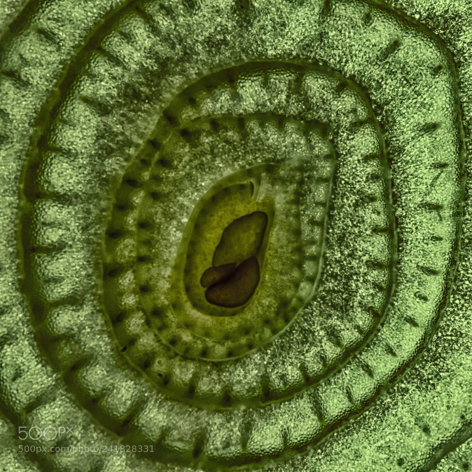Nikon D7200 sample photo. Structures photography