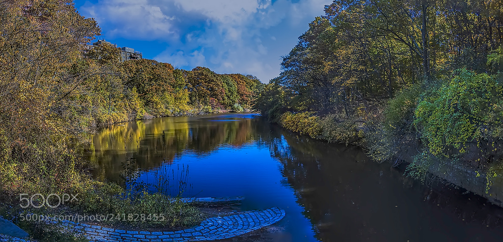 Canon EOS 5DS sample photo. Clove lakes staten island photography