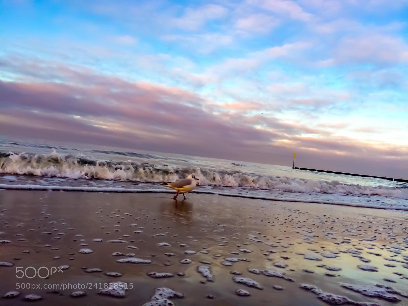 Apple iPhone 5s sample photo. Baltic winter 1 photography
