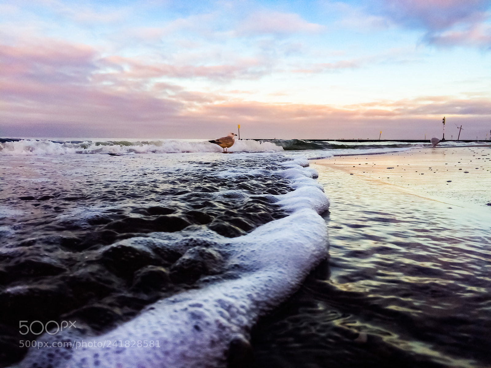 Apple iPhone 5s sample photo. Baltic winter 2 photography