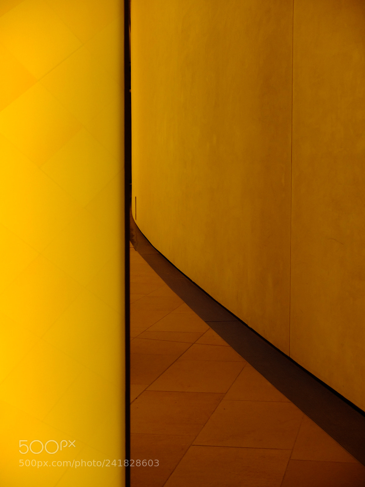 Fujifilm X10 sample photo. Orange photography