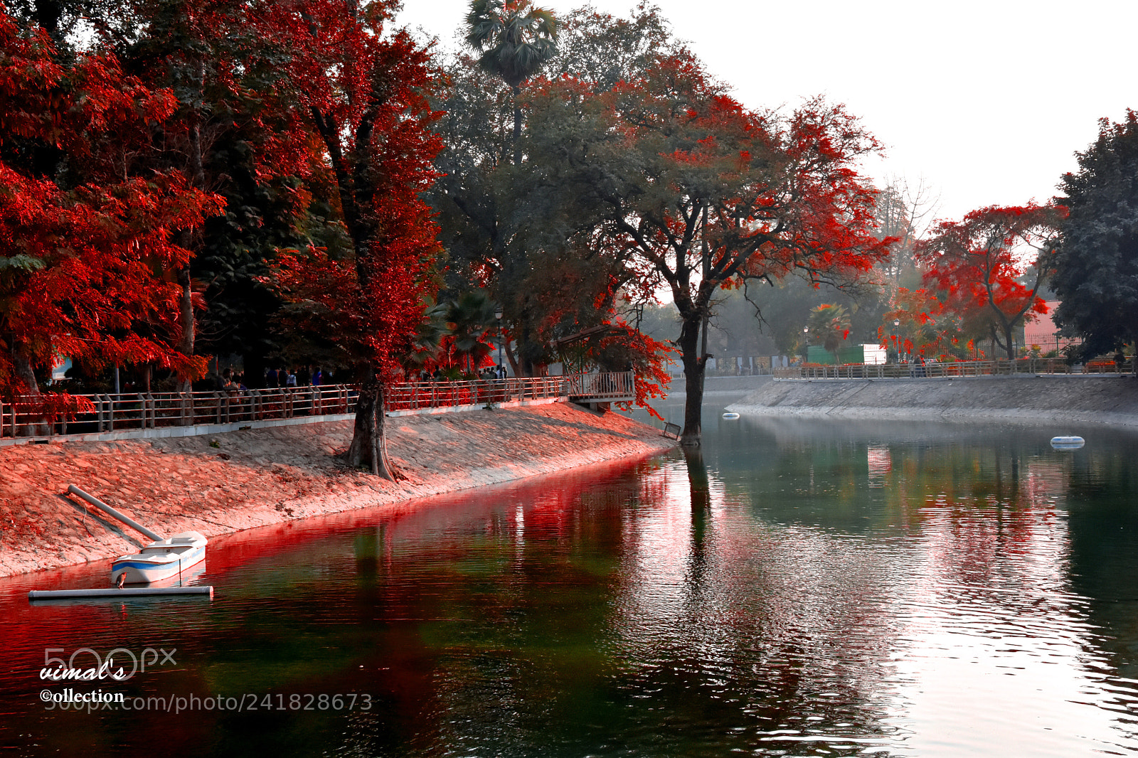 Nikon D7200 sample photo. G photography