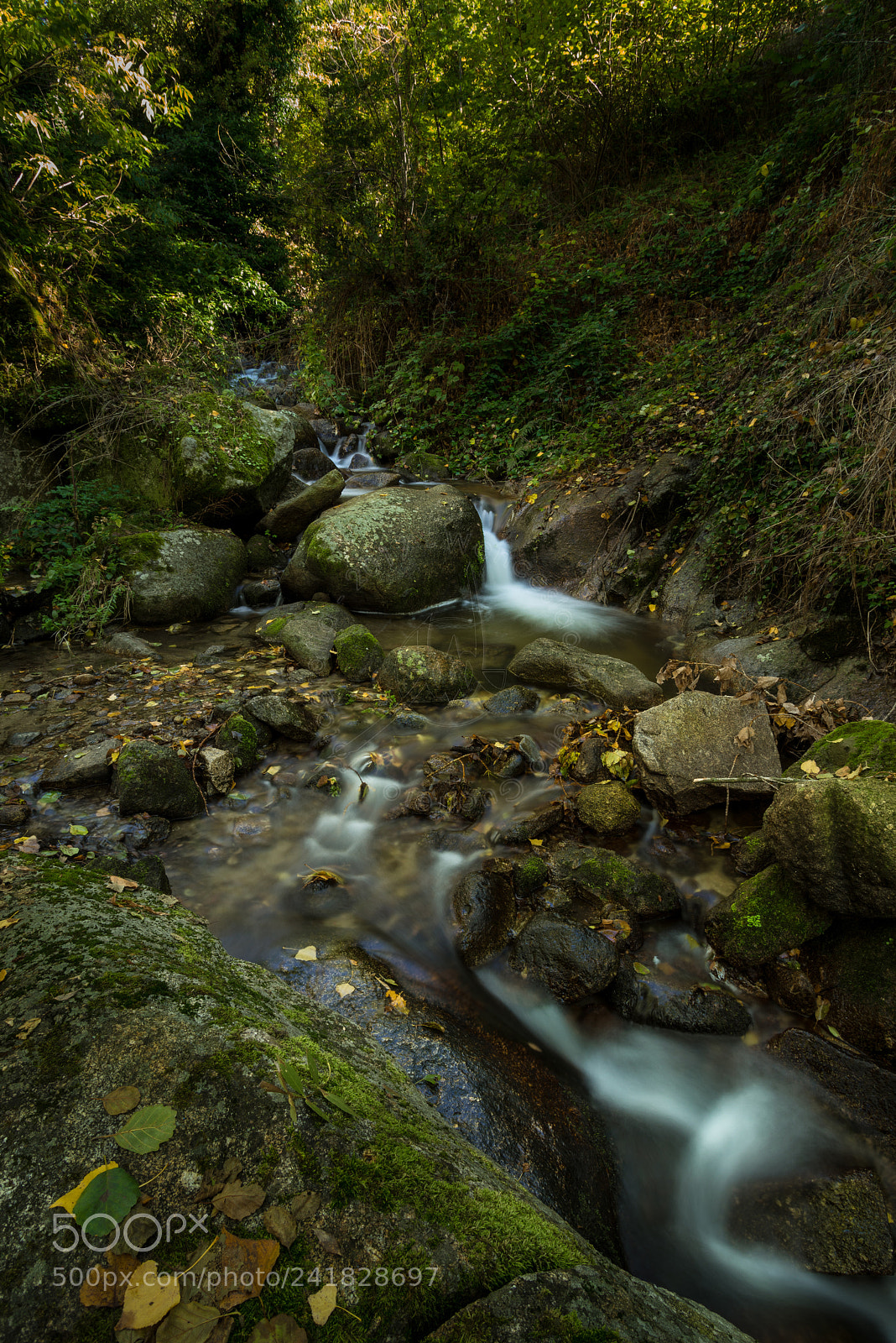 Sony a7R sample photo. La vida (life) photography
