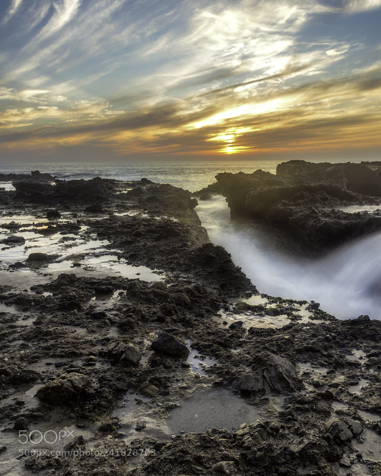 Nikon D810 sample photo. Softening the blow photography