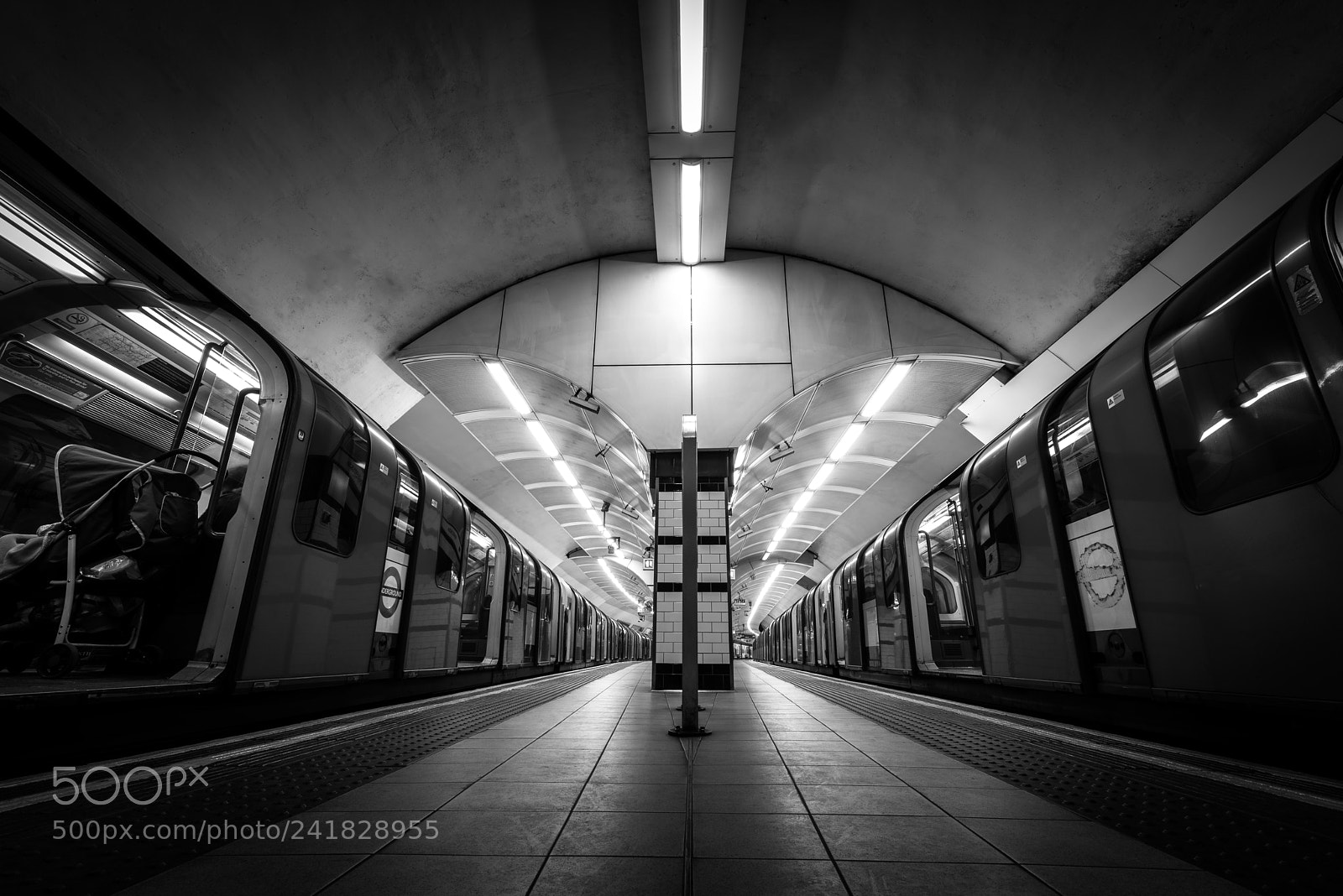 Nikon D810 sample photo. All aboard photography