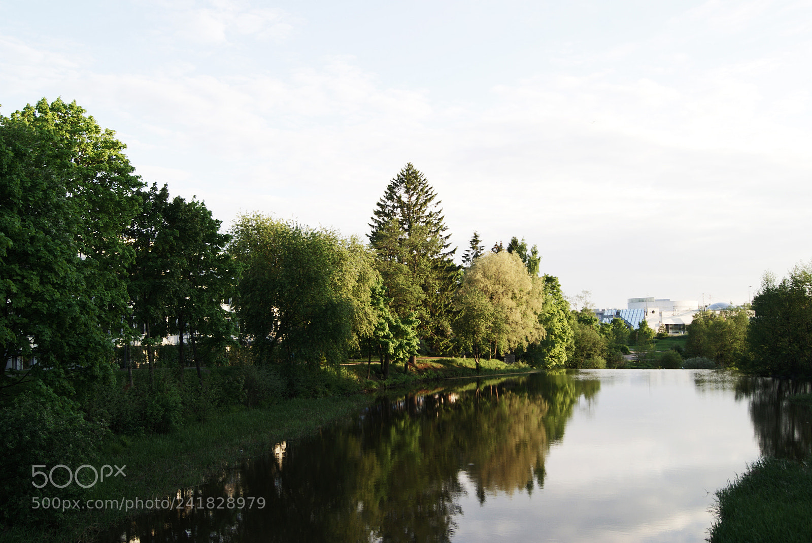 Sony Alpha DSLR-A230 sample photo. Dear river photography