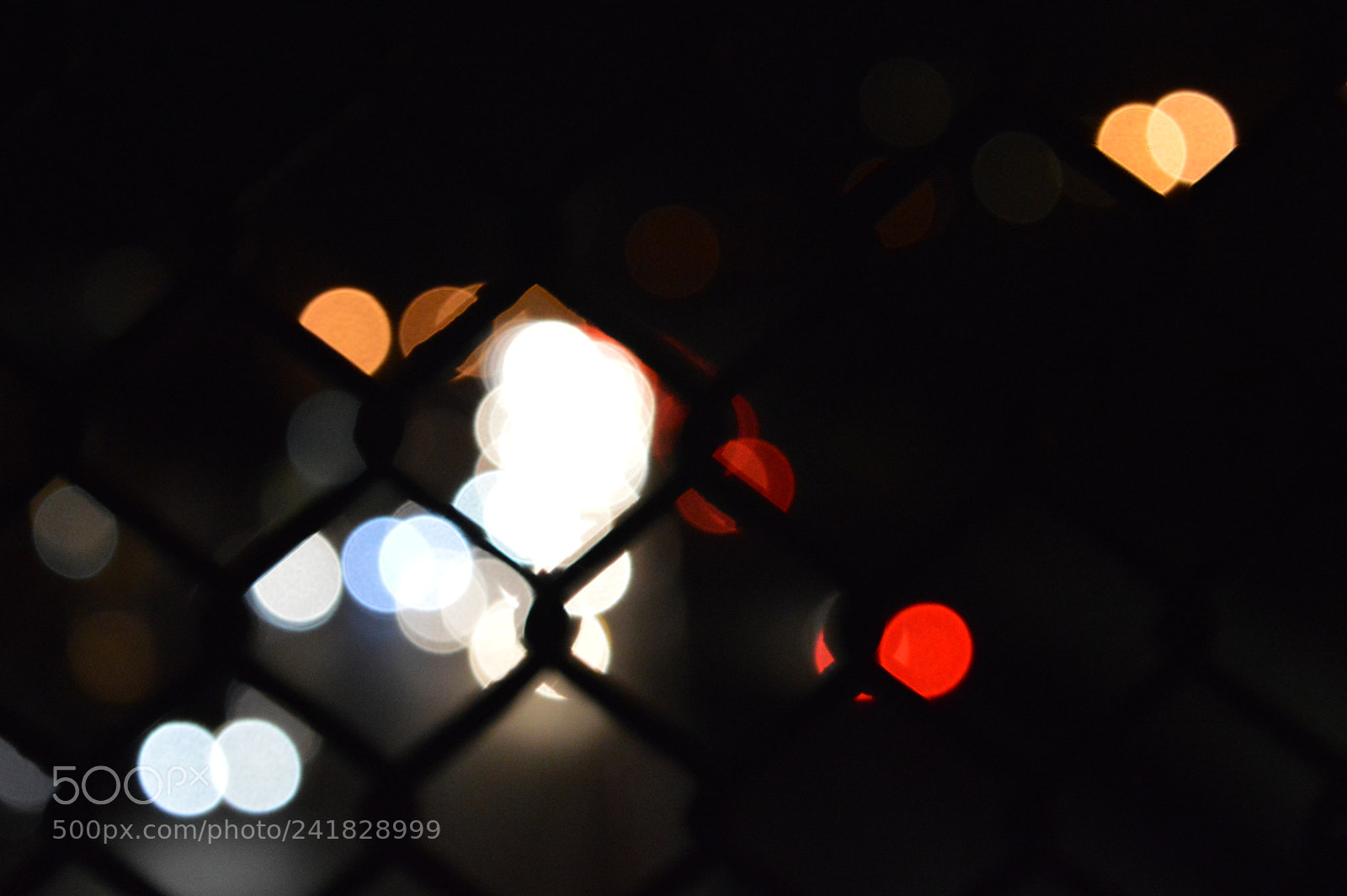 Nikon D3200 sample photo. Light photography