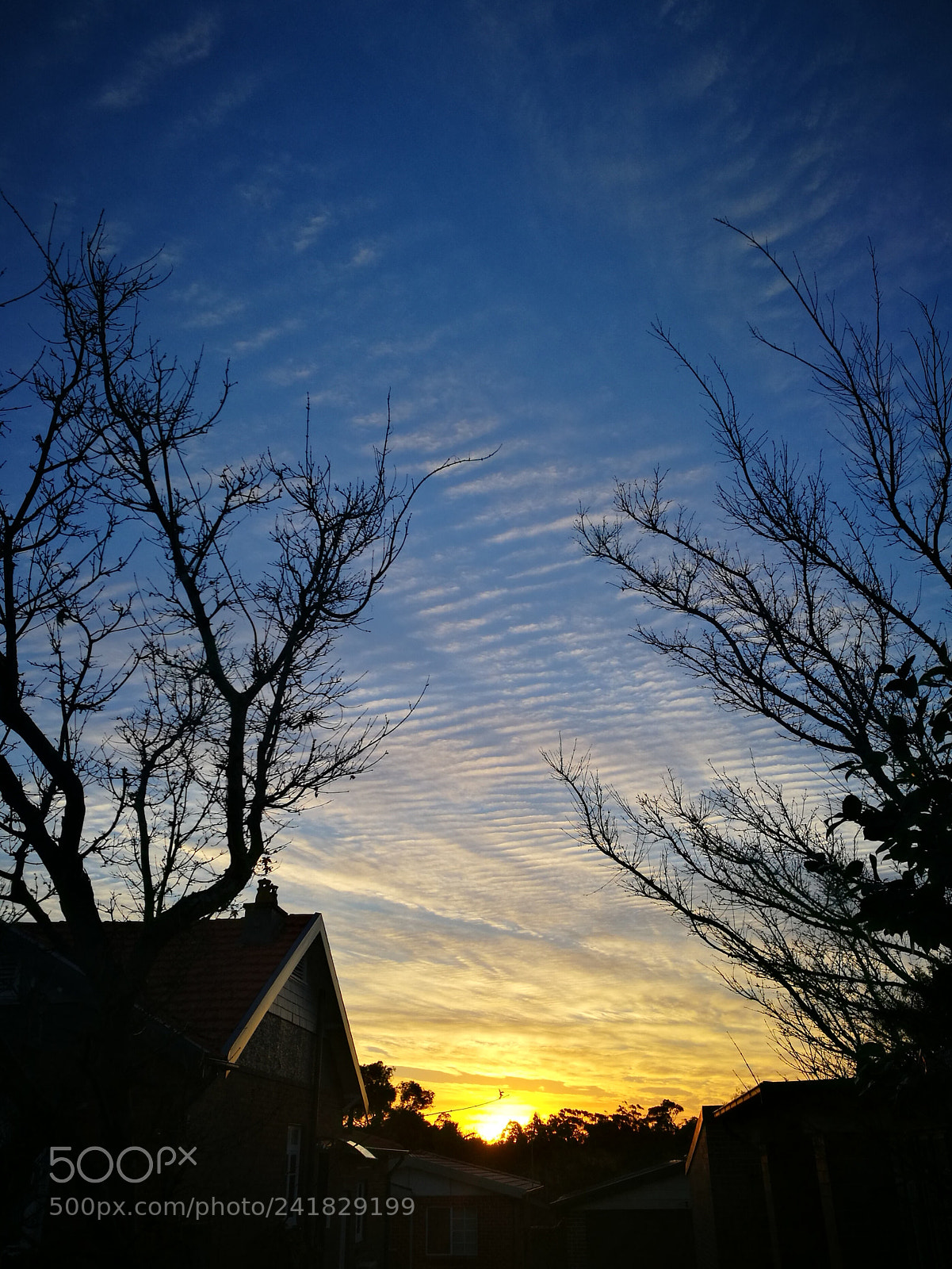 HUAWEI P9 sample photo. Untitled photography