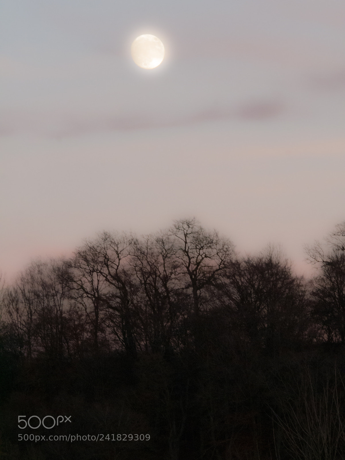 Panasonic DMC-G70 sample photo. Full moon photography