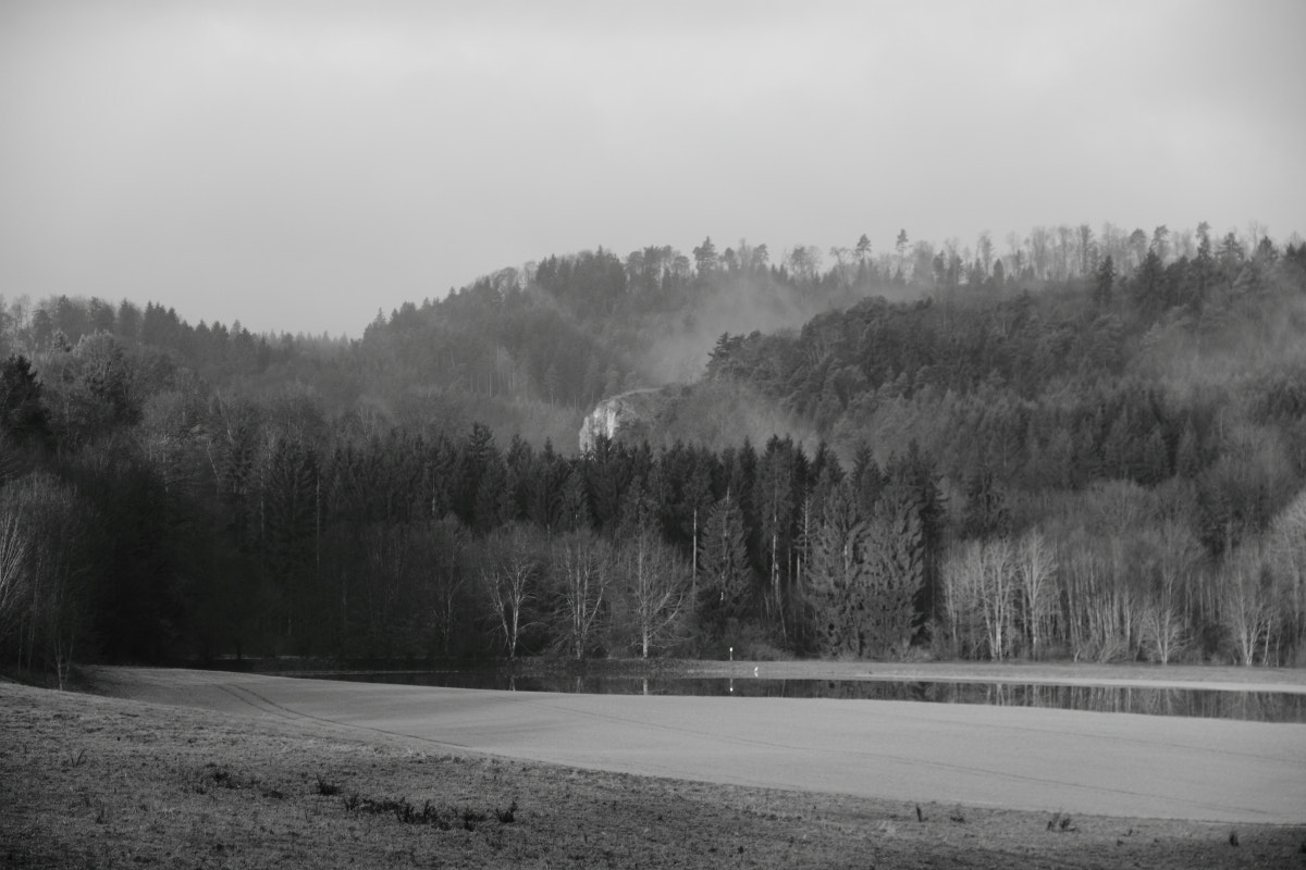 Canon EF-S 18-135mm F3.5-5.6 IS sample photo. Upper danube nature park - 1 photography